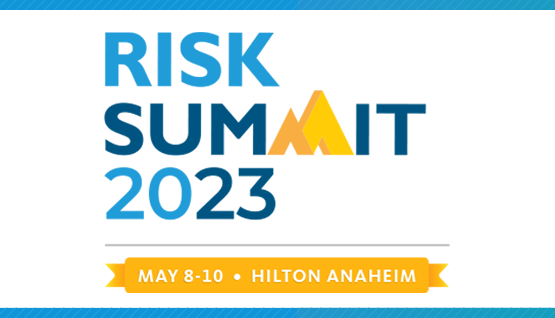 Graphic displaying the Risk Summit logo.