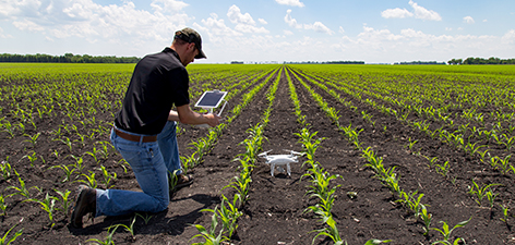 A photograph of an individual looking at their tablet, reviewing a pre-flight checklist before operating a drone in a crop field.