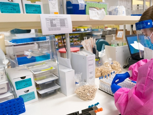 Lab technician sorting various chemicals and containers